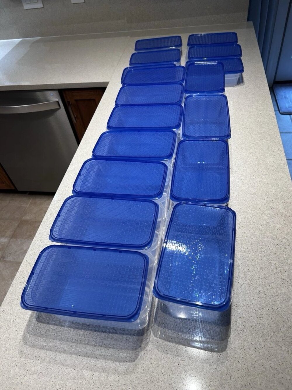 Lot of 14 Mainstays Plastic Food Storage Containers w/ Textured Royal Blue Snap